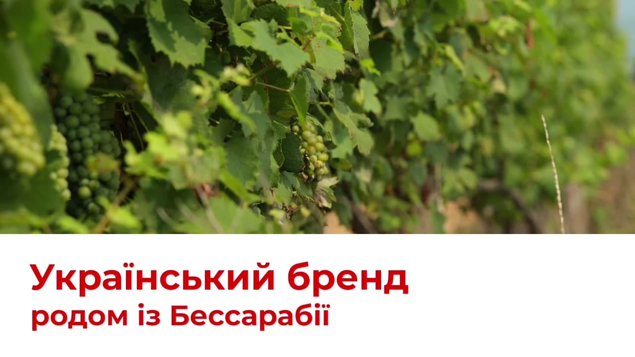 Wine Festival 