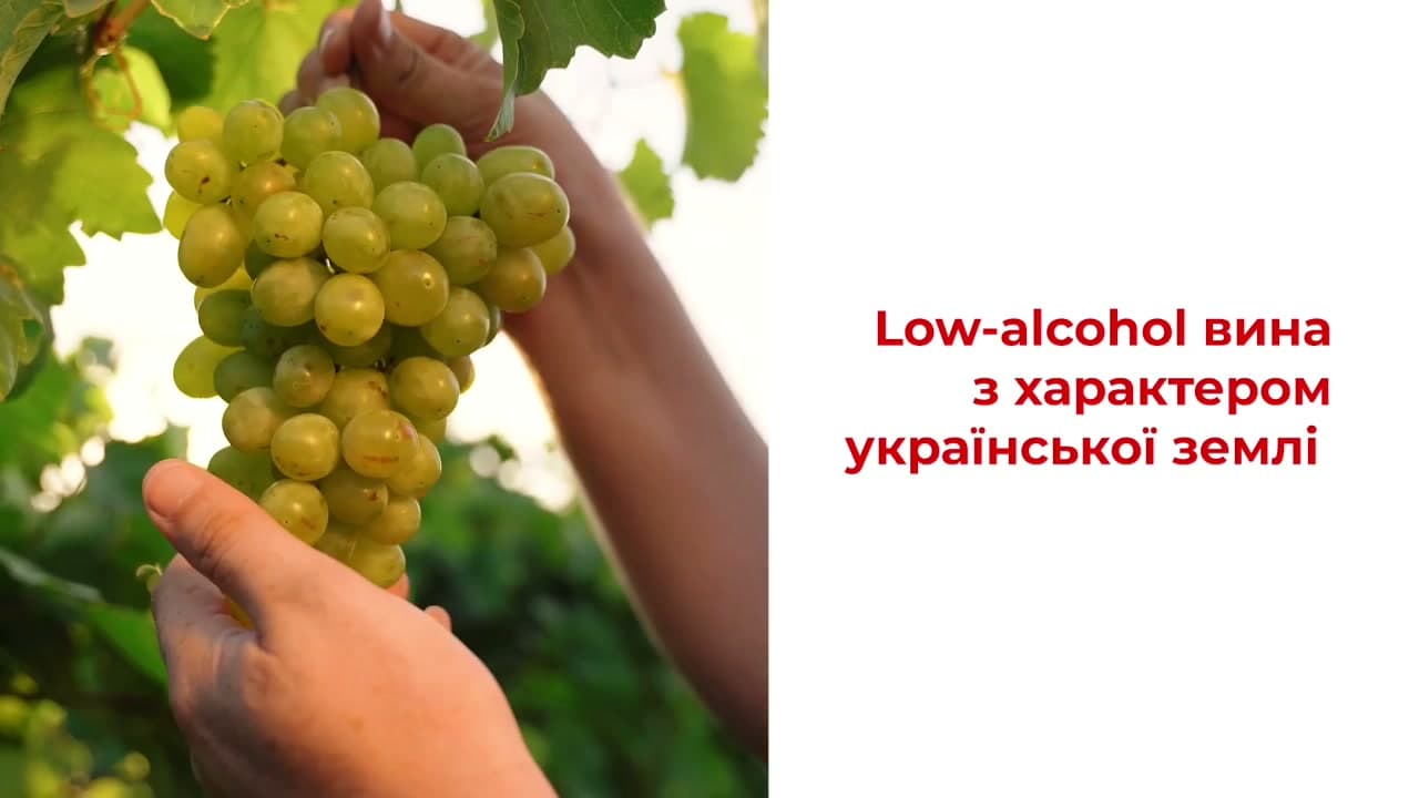 Фестиваль вина 